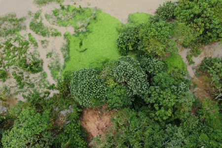 Elaboración de protocolos de monitoreo de cantidad y calidad del agua superficial de la Red Regional de Monitoreo de la Cuenca Amazónica