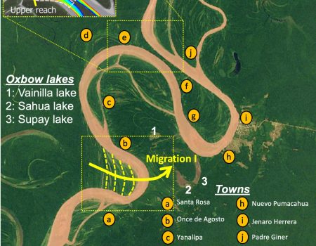 Neck cutoffs may affect the town of Jenaro Herrera in the Ucayali River (Peru)