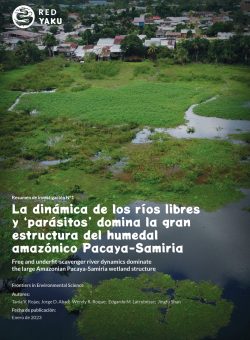 La dinámica de los ríos libres y ‘parásitos’ domina la gran estructura del humedal amazónico Pacaya-Samiria